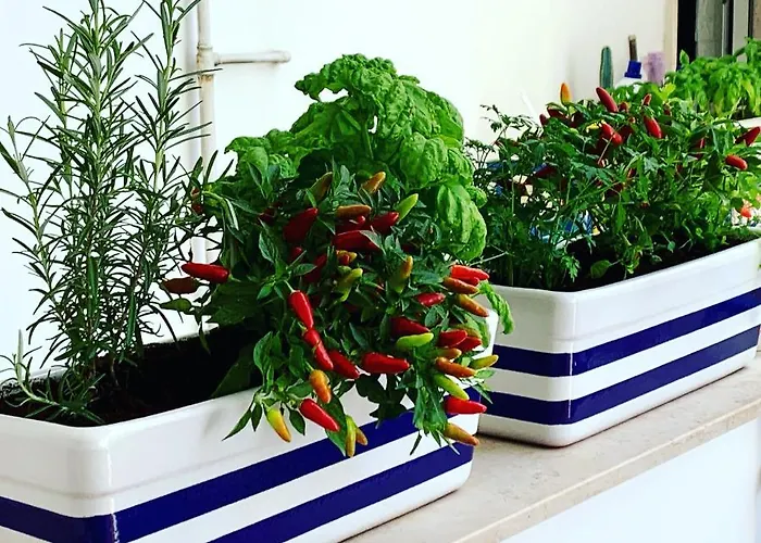 Casa Degli Aranci 33 דירה *